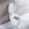 Transolid Ginger 1-Piece 1.28 GPF Single Flush Elongated Bidet Toilet in White