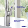 Blanco 443019 Rivana Semi-Pro Kitchen Faucet 1.5 GPM in Matte Black