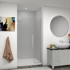 Transolid EHTB42307610C-T-BS Elizabeth 42-in W x 76-in H Hinged Shower Door in Brushed Stainless with Clear Glass