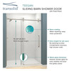 TBD608010C-J-BS Teegan 59-in W x 80-in H Frameless Sliding Door with Fixed Panel in Brushed Stainless with Clear Glass