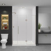 EHTF61257610C-T-BS Elizabeth 61-in W x 76-in H Hinged Shower Door in Brushed Stainless with Clear Glass