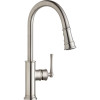 Elkay LKEC2031LS Pull-Down Kitchen Single-Hole Faucet in Lustrous Steel