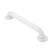 36in x 1-1/2in Grab Bar in Glacier