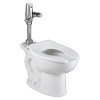 American Standard 3461.511.020 Commercial Toilet with Selectronic DC Flushing Valve Combo