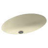 22.5-in W x 16-in D x 5.625-in H Solid Surface Undermount Bathroom Sink in Bone