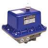 NE500-30-4 24 VDC ELECTRIC ACTUATOR, Electric Actuators - Mid-Range Torque, NEMA 4 and 7, Series 500