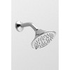 Toto TS200AL65#CP Multi Function Shower Head in Polished Chrome
