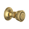 Rohl 1095/8SUB 2-Function Body Spray, Satin Unlacquered Brass