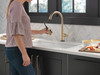 9182T-CZ-PR-DST Emmeline Single Handle Pull Down Kitchen Faucet with Touch2O Technology, Lumicoat Champagne Bronze