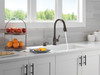 Delta 19831Z-RBSD-DST Hazelwood Single Handle Pull Down Kitchen Faucet with Soap Dispenser and ShieldSpray Technology, Venetian Bronze