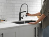 9693-BL-DST Pivotal Single Handle Exposed Hose Kitchen Faucet, Matte Black