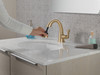 Delta 577-CZPD-PR-DST Stryke Single Handle Pull Down Bathroom Faucet, Lumicoat Champagne Bronze