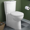 Dual-Flush Round 2-Piece Toilet with Concealed Trapway, Seat, and 12-in Rough-In