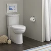 Dual-Flush Round 2-Piece Toilet with Concealed Trapway, Seat, and 12-in Rough-In