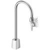 W6635DI 6.00-in x 0.50-in x 15.00-in Deck-Mount Pure Water Faucet with Gooseneck Spout, Chrome