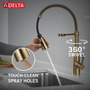 9613-CZ-DST Essa 11.50-in x 4.13-in x 19.38-in Single-Handle Pull-Down Spring Kitchen Faucet, Champagne Bronze