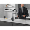 9613-BL-DST Essa 11.50-in x 4.13-in x 19.38-in Single-Handle Pull-Down Spring Kitchen Faucet, Matte Black