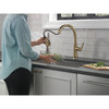 9179-CZ-DST Coranto 1.25-in x 10.75-in x 15.88-in Single-Handle Pull-Down Kitchen Faucet, Champagne Bronze