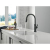 19867LF-GZ Nicoli 11.06-in x 10.75-in x 17.06-in Single-Handle Pull-Down Kitchen Faucet, Matte Black and Champagne Bronze