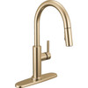 19867LF-CZ Nicoli 11.06-in x 10.75-in x 17.06-in Single-Handle Pull-Down Kitchen Faucet, Champagne Bronze