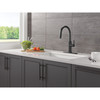 Delta 19867LF-BL Nicoli 11.06-in x 10.75-in x 17.06-in Single-Handle Pull-Down Kitchen Faucet, Matte Black