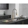 Delta 18804Z-CZ-DST Theodora 11.94-in x 10.75-in x 20.25-in Single-Handle Pull-Down Spring Kitchen Faucet, Champagne Bronze