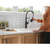 Delta 18804Z-BL-DST Theodora 11.94-in x 10.75-in x 20.25-in Single-Handle Pull-Down Spring Kitchen Faucet, Matte Black