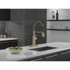 Delta 18803-CZ-DST Antoni 9.00-in x 10.50-in x 19.75-in Single-Handle Pull-Down Spring Kitchen Faucet, Champagne Bronze