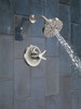 T17272-SS-PR Galeon 17 Series Shower Trim with H2OKinetic, Lumicoat Stainless
