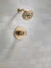T14258-CZ Trinsic H2O Shower Trim 1L, Champagne Bronze