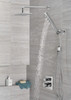 RP62955PR Universal Showering Components Single-Setting Raincan Shower Head, Lumicoat Chrome