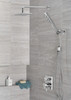 RP62955PR Universal Showering Components Single-Setting Raincan Shower Head, Lumicoat Chrome