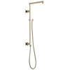 Delta 58420-PN-PR Universal Showering Components Emerge 26" Angular Shower Column, Lumicoat Polished Nickel