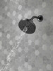 75568BL Universal Showering Components H2Okinetic 5-Setting Shower Head, Matte Black
