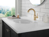 Delta 559HAR-CZPD-DST Trinsic Single Handle Pull Down Bathroom Faucet, Champagne Bronze