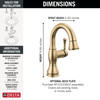 597-CZPD-DST Cassidy Single Handle Pull Down Bathroom Faucet, Champagne Bronze