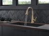 Delta 19802Z-CZ-DST Lenta Single Handle Pull Down Kitchen Faucet, Champagne Bronze