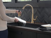 19802Z-CZ-DST Lenta Single Handle Pull Down Kitchen Faucet, Champagne Bronze