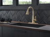 19802Z-CZ-DST Lenta Single Handle Pull Down Kitchen Faucet, Champagne Bronze