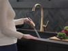 19802Z-CZ-DST Lenta Single Handle Pull Down Kitchen Faucet, Champagne Bronze