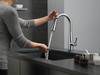 9113TV-AR-DST Essa VoiceIQ Single Handle Pull Down Faucet with Touch2O Technology, Arctic Stainless