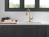 9190T-CZ-DST Broderick Single Handle Pull Down Kitchen Faucet with Touch2O Technology, Champagne Bronze