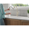9184-PN-PR-DST Renaldi 11.56-in x 2.81-in x 16.56-in Single-Handle Pull-Down Kitchen Faucet, Lumicoat Polished Nickel