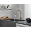 9113-CZ-DST Essa 9.38-in x 11.00-in x 15.75-in Single-Handle Pull-Down Kitchen Faucet, Champagne Bronze