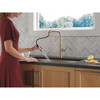 19868LF-CZ Nicoli 11.06-in x 10.75-in x 15.75-in Single-Handle Pull-Down Kitchen Faucet, Champagne Bronze