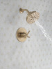 T17235-CZ SAYLOR Monitor 17 Series Shower Trim, Champagne Bronze
