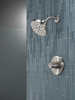 Delta 142749-SS Nicoli Monitor 14 Series H2Okinetic Shower, Stainless