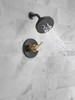Delta 142749-GZ Nicoli Monitor 14 Series Shower Only, Matte Black Champagne Bronze