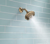 RP78575CZ Universal Showering Components 5-Setting Raincan Shower Head, Champagne Bronze