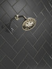 52669-PN-PR Universal Showering Components H2Okinetic 5-Setting Traditional Raincan Shower Head, Lumicoat Polished Nickel